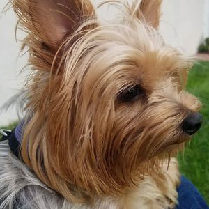 Meet your Posher, Joanne